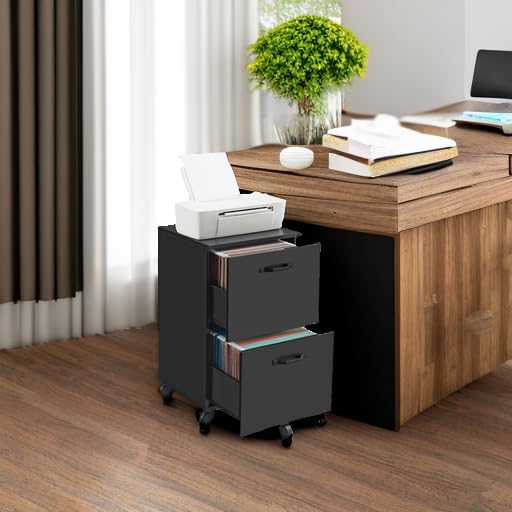 2-Drawer Rolling File Cabinet & Printer Stand for Home Office